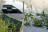 Cjp_2008_07_14_071645 (1).jpg